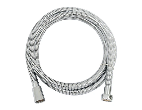 Polished Brass Shower Hose